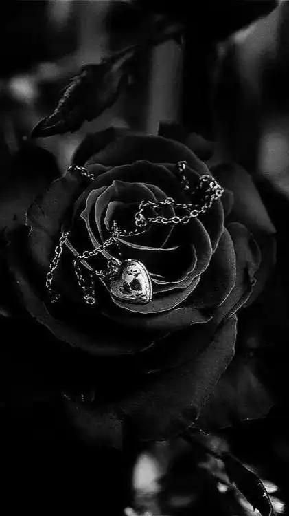 あなたと過ごした日々を＊全緩也ハント＊