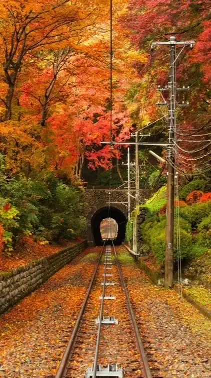 ミドルCAFE＠広島、岡山、山口（40代〜60代限定・交流オフ会）