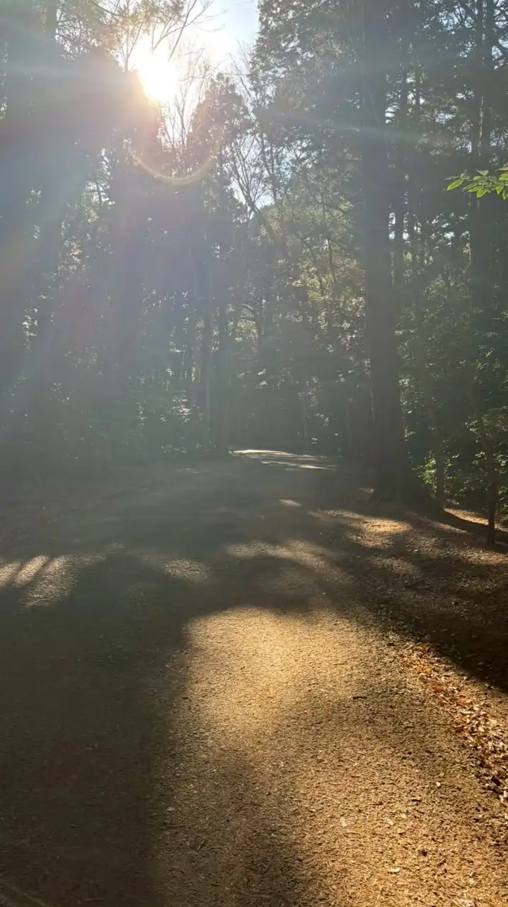 成績爆上げママへの扉【LIFE CORE STUDY】