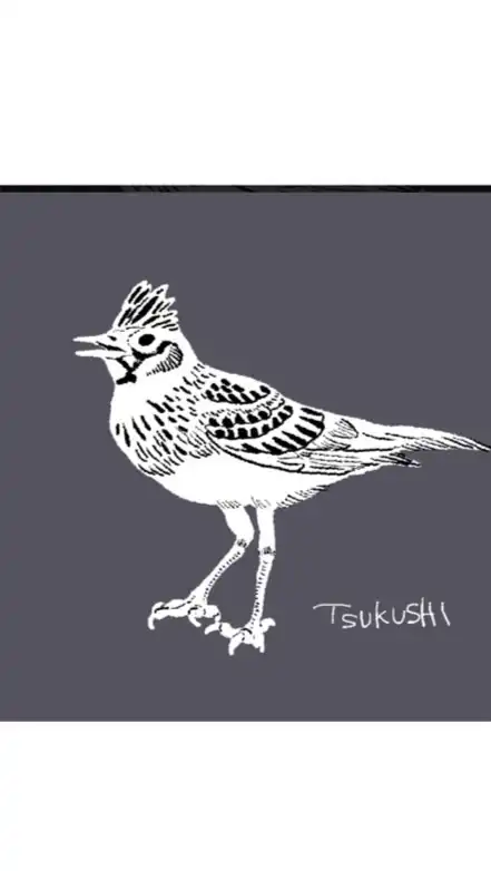 恵庭幼稚園　ひばり組