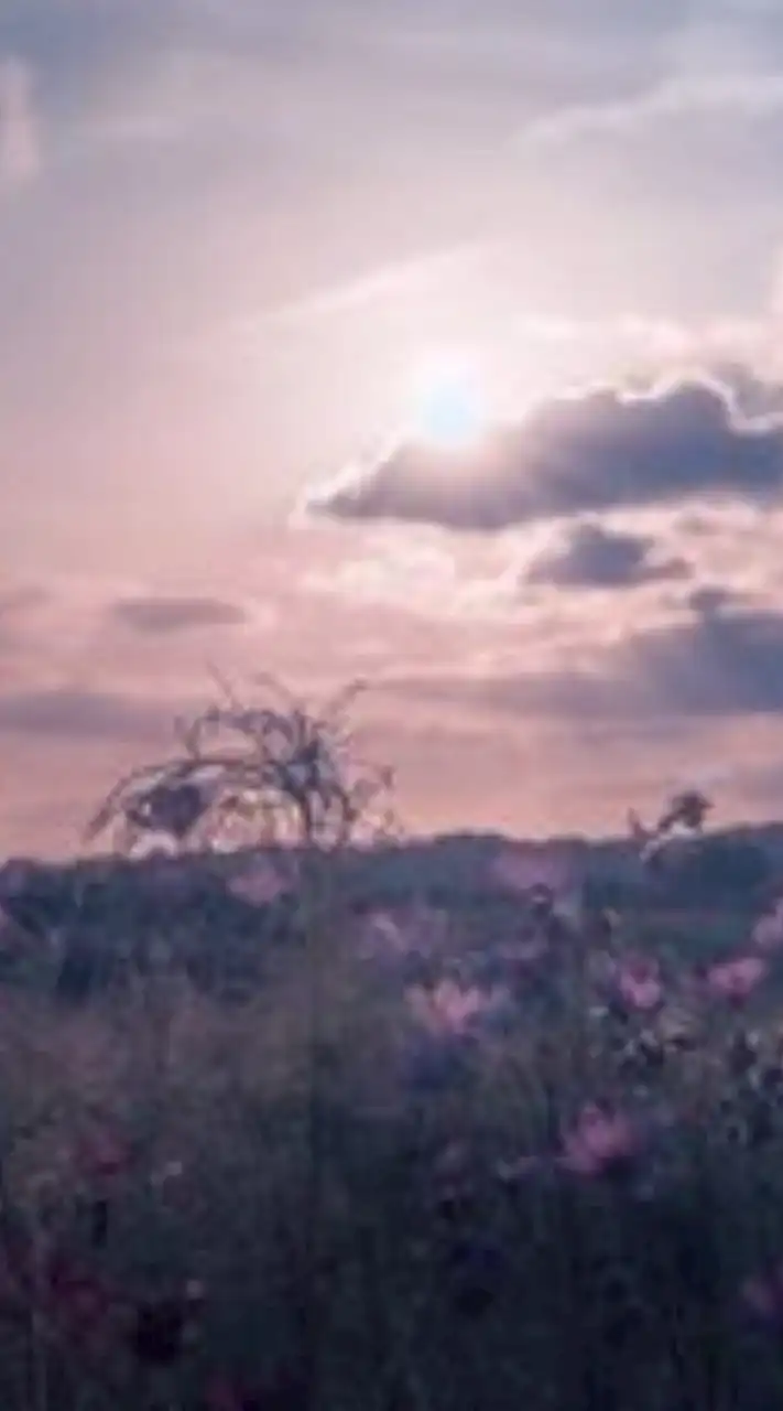 @　⌒ ⌒　　ず　~　ッ　と　一緒　ダョ　?¿　　　HQ　固定　,