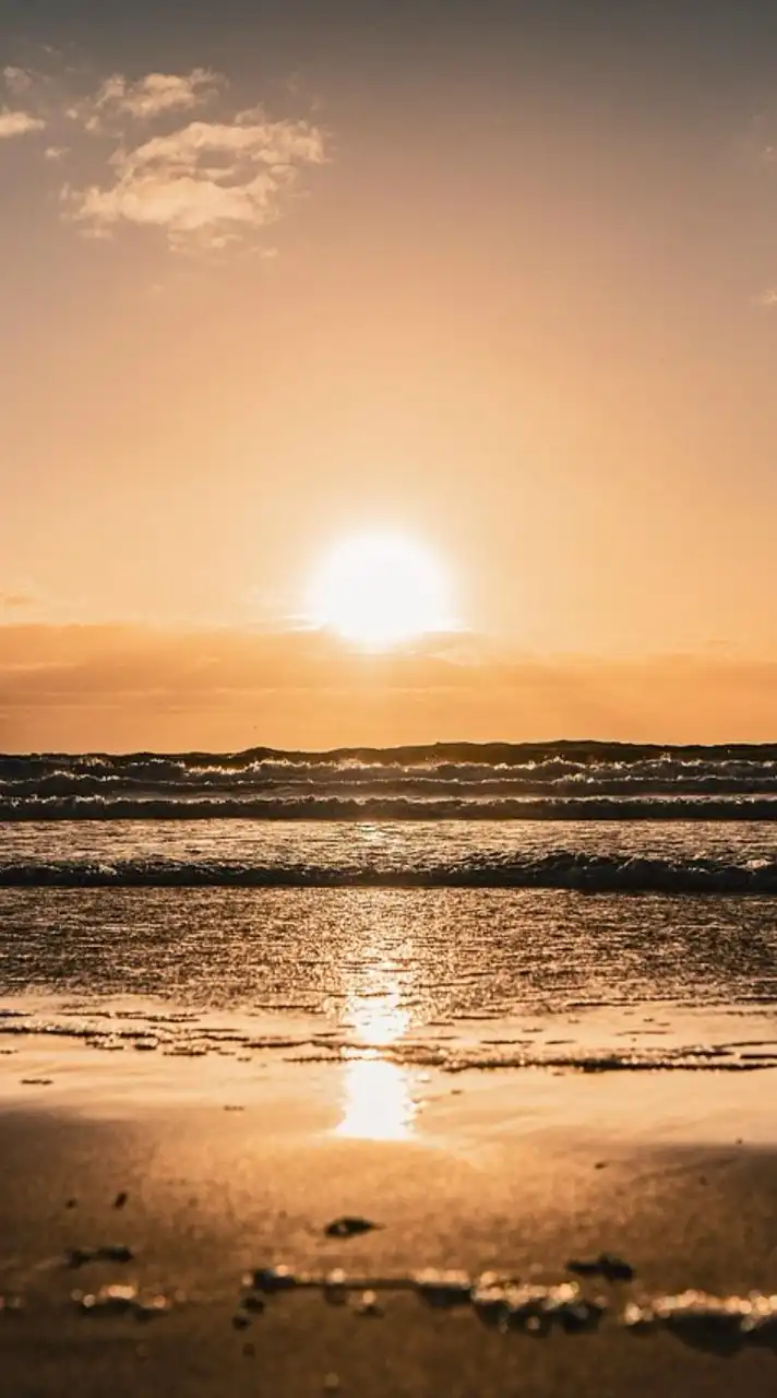 ✨✨✨ハントもアリ⁉️集まれ緩緩緩全也✨✨✨