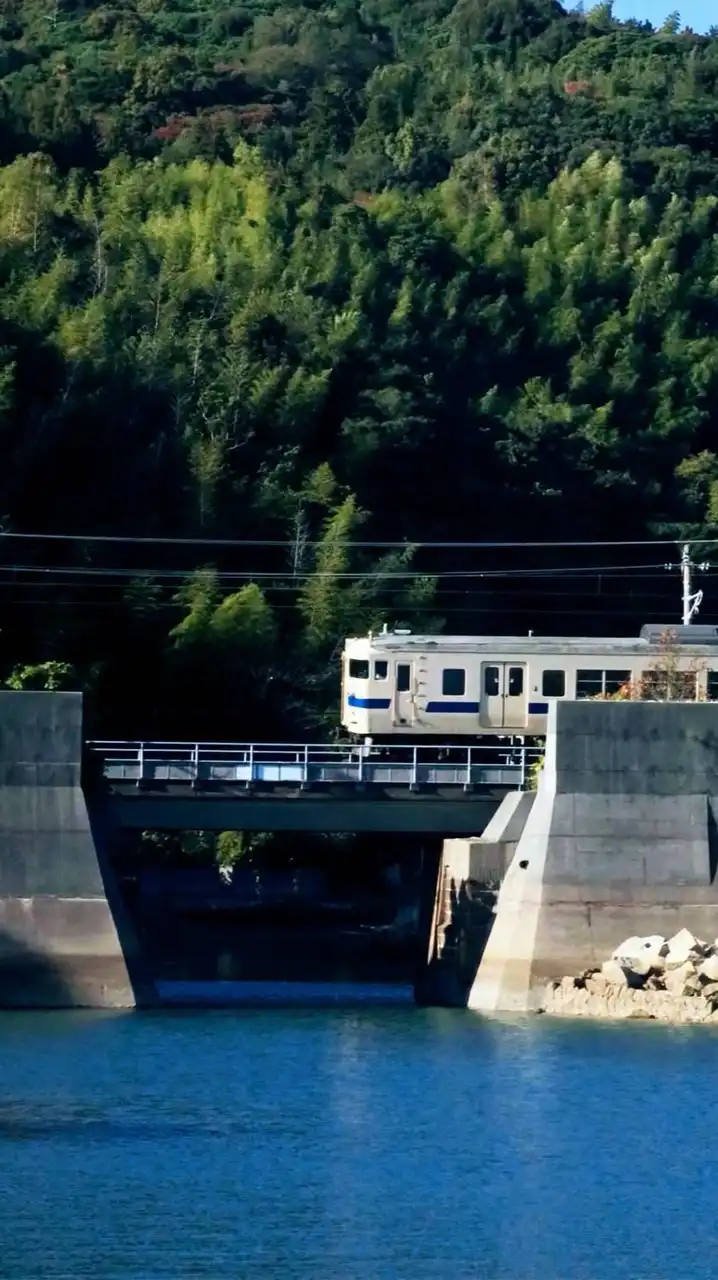 ㊗️70人！(timetreeあるよー)スジ公開と鉄道雑談