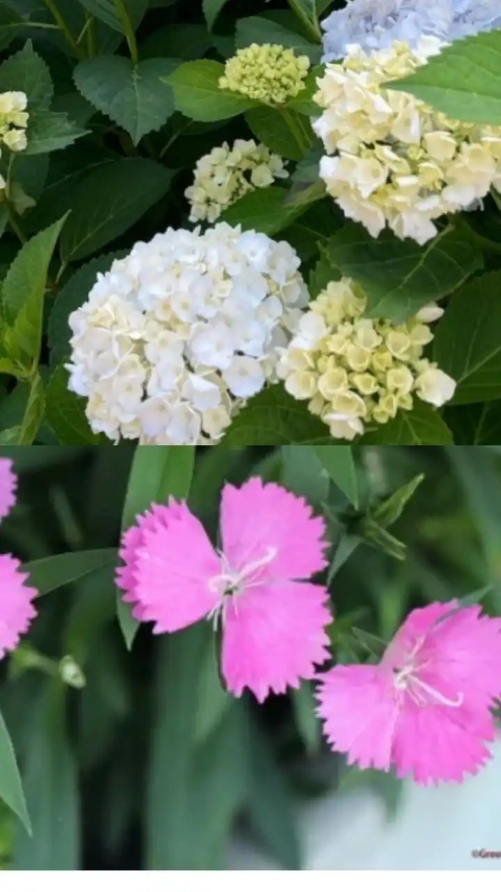 独り言　夫、旦那、妻への愚痴吐き場　リプ禁止、リアクション禁止