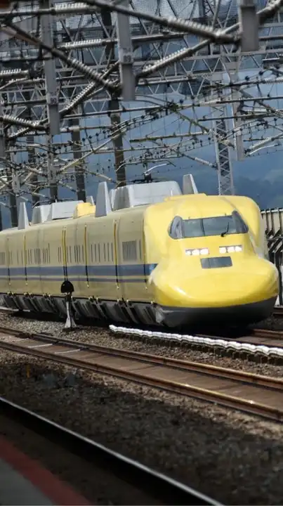 脊柱の痛みと共に生きる仲間たち