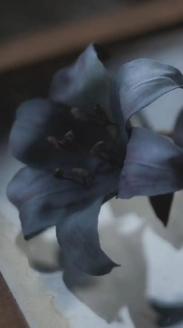 I Wanna Be Your Slave 【ヤンデレ/メンヘラスト緩ハント】