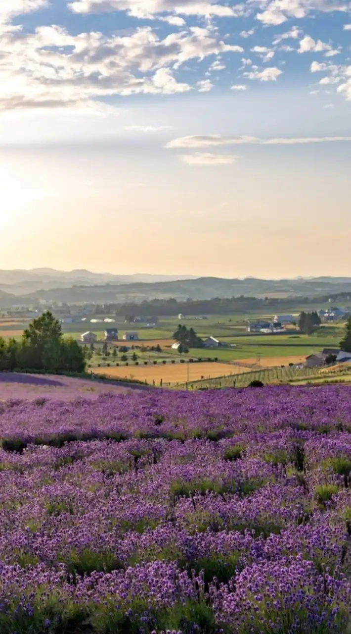 動物好き仲間の集い🎶