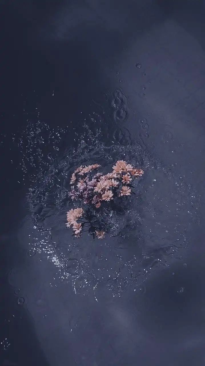 通信制高校生の友達作りオプ