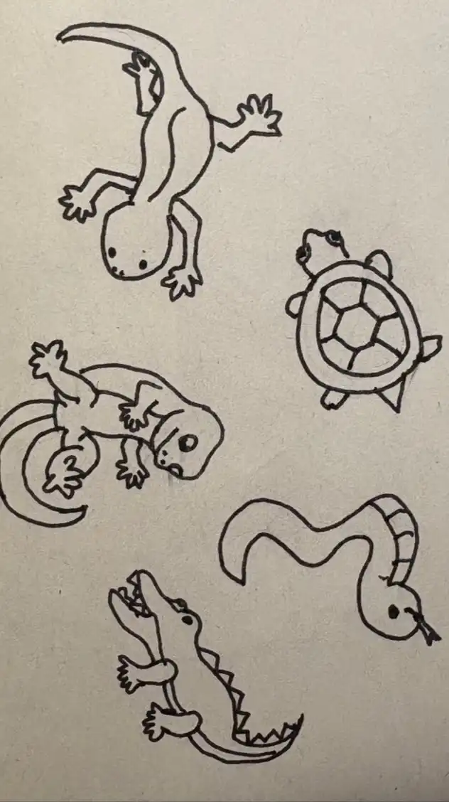 爬虫類を飼っている人、爬虫類が好きな人、みんな集まれ‼️🐢🦎🐍