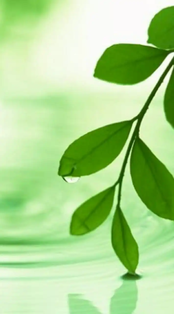 50代～のつぶやき💬トーク疲れた方