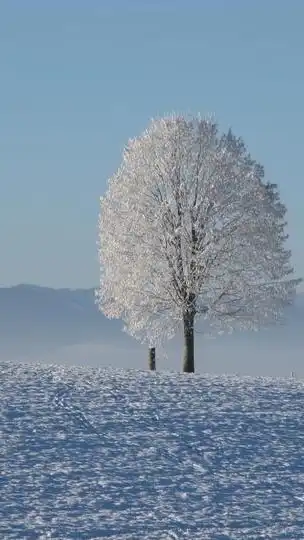❤️❤️感恩相遇大家庭❤️❤️