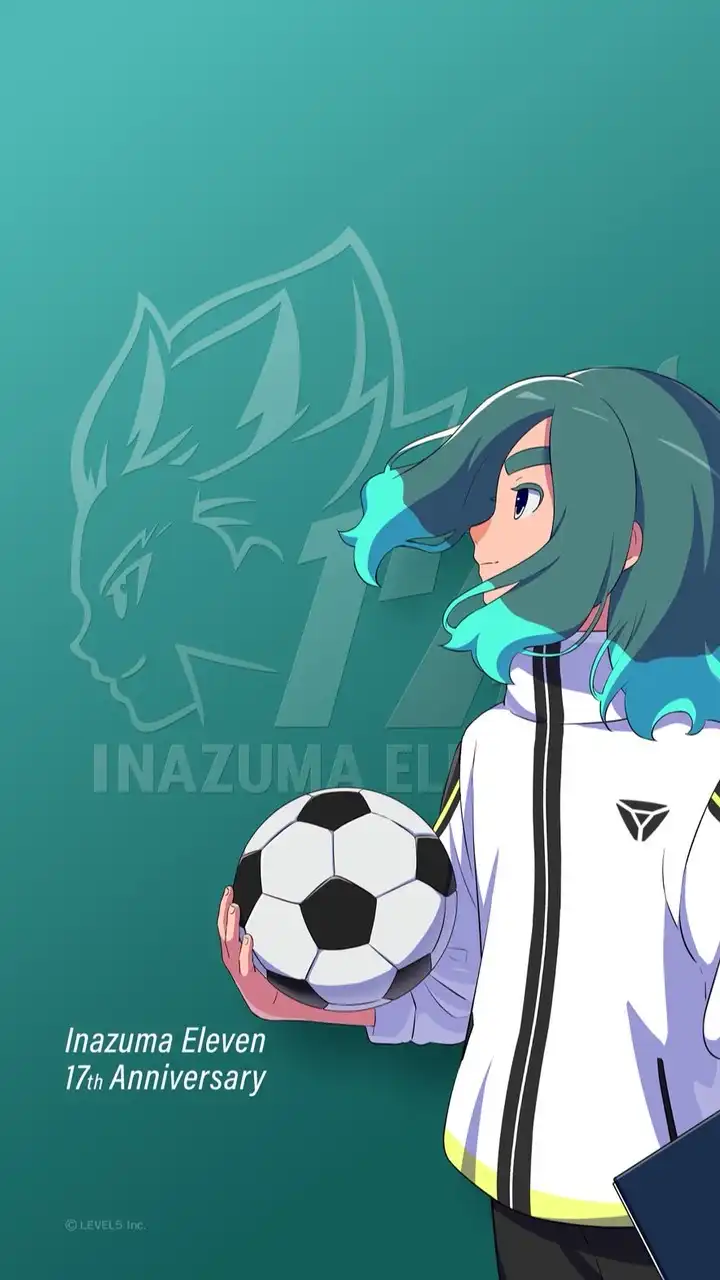 イナズマイレブン～英雄たちのヴィクトリーロード～ 総合