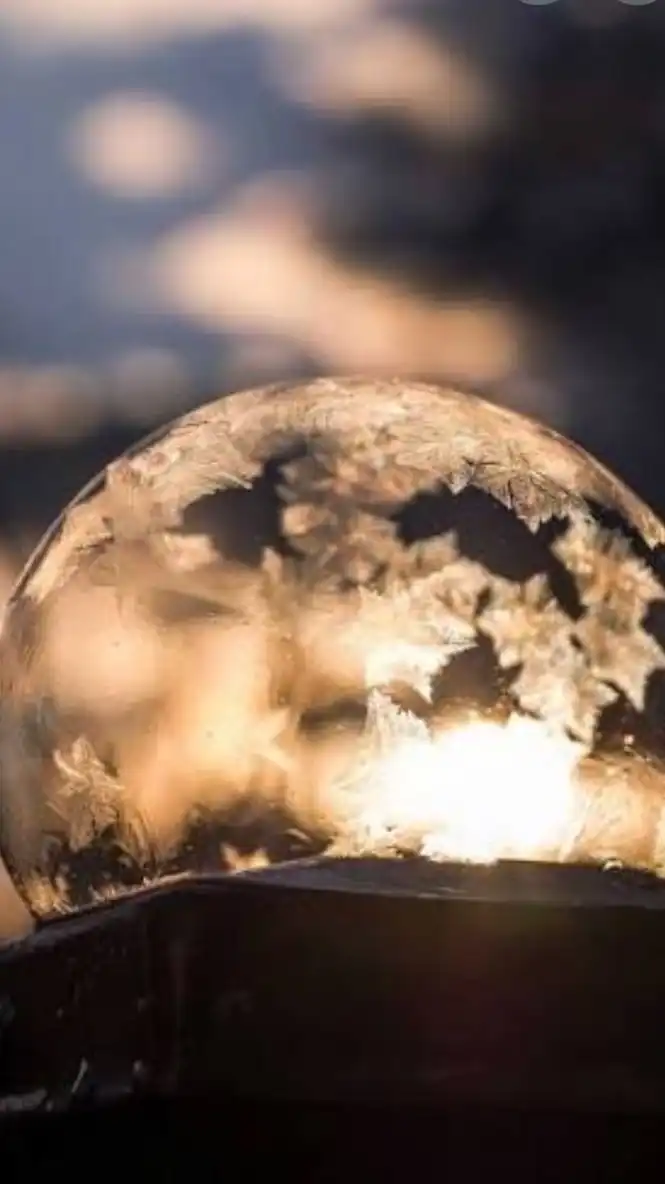 ✨コタツに入ってポカポカroomを一緒に過ごしちゃお(^-^✿)