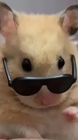 みんなで雑談しようぜー！！