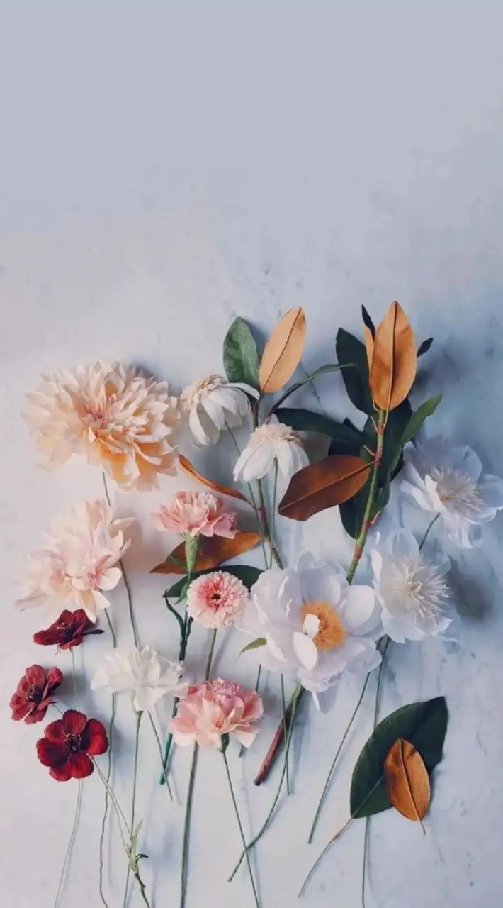 世界に一つだけのハントを＊全緩也