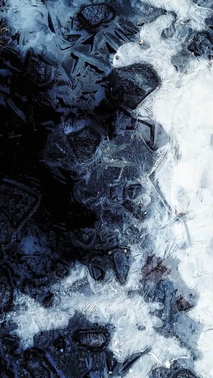 歌いたいだけ歌え