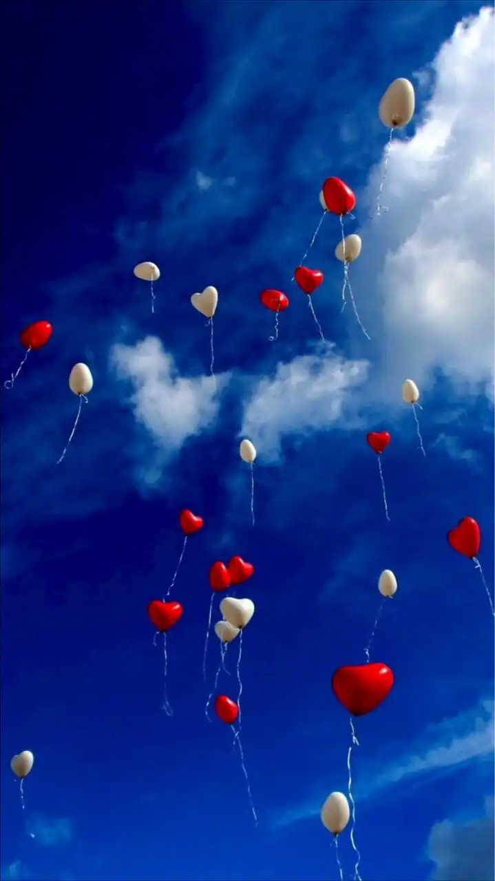 高校生限定オプ！！ライト！