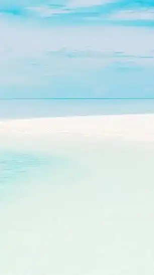 🌳✨ライブトーク🎙️自己紹介部屋💁💁‍♀️