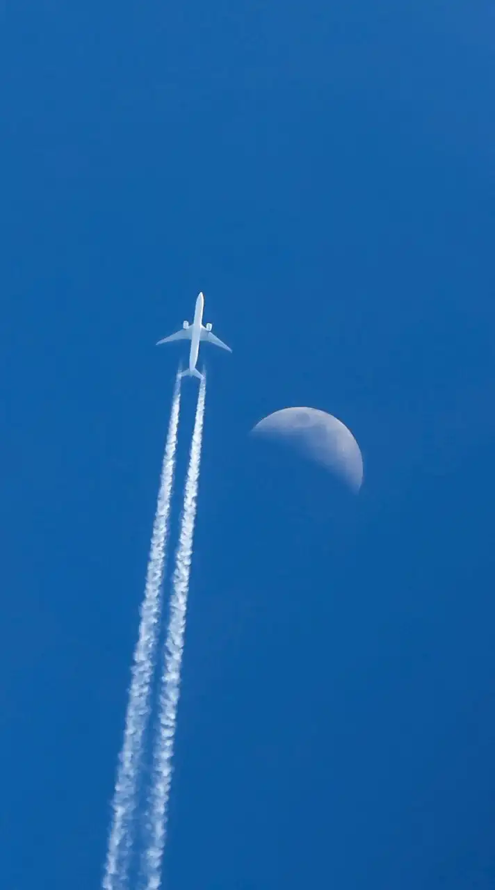 飛行機好き大集合