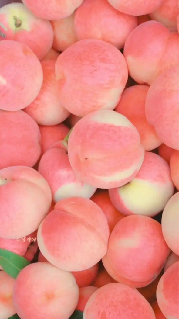 🍑関西🍑近畿🍑地域交流🍑30代40代50代🍑ライブトーク🍑素敵な雑談🍑