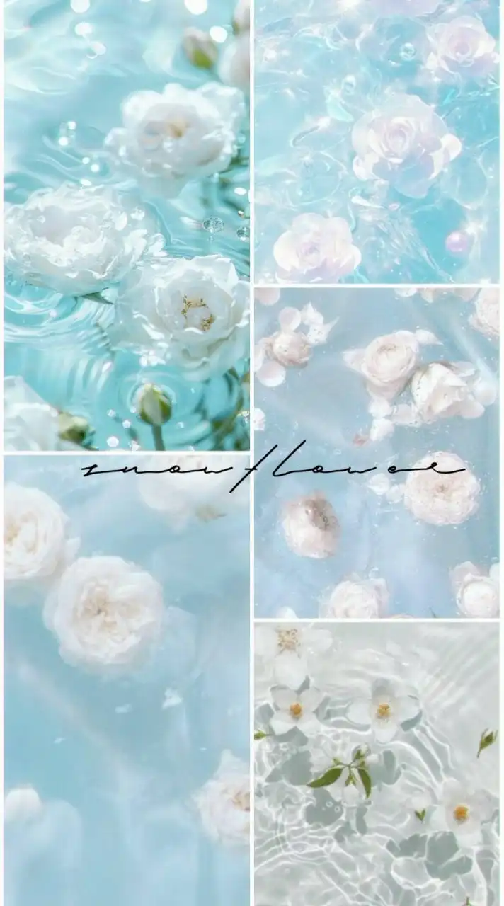 架空VTuber事務所《PRISMDream》