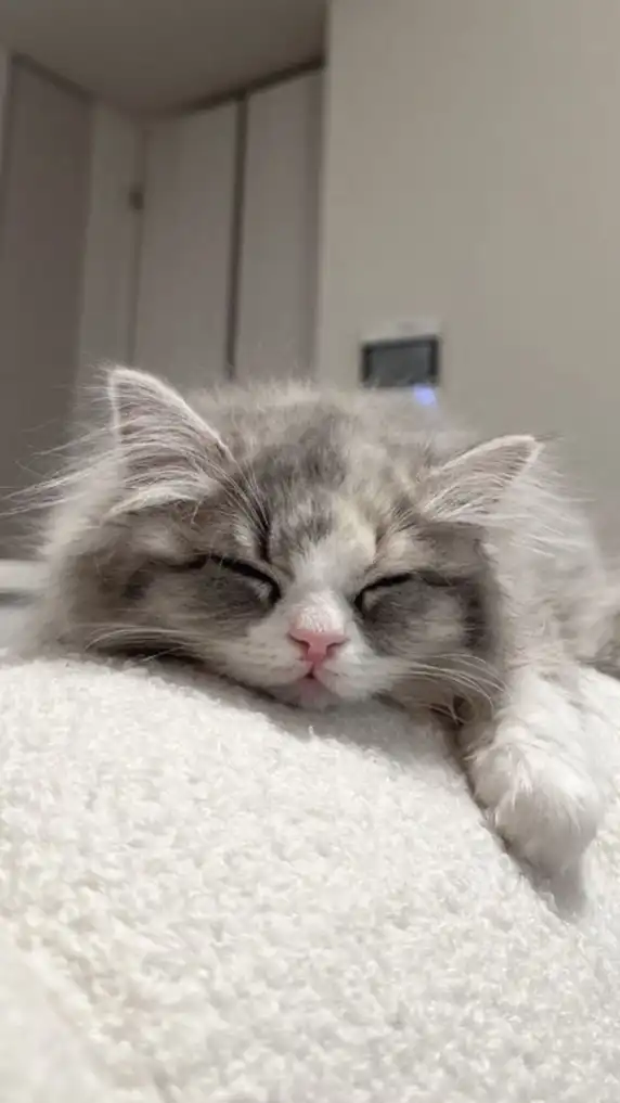 非リア･リア充おいで〜‼️