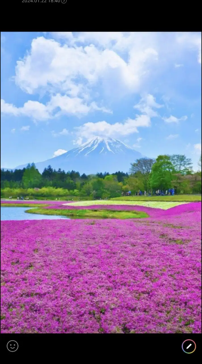 🆕新規オープン🚶散歩の途中🍀気軽にお立寄り下さい