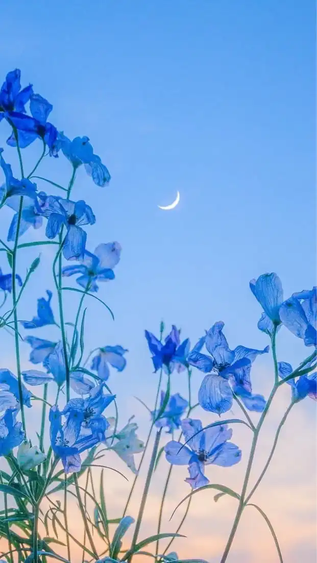 精神疾患者🌿憩いの場