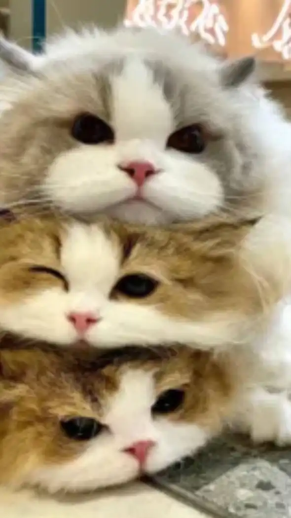 みんなで夜更かし！雑談！ゲーム！