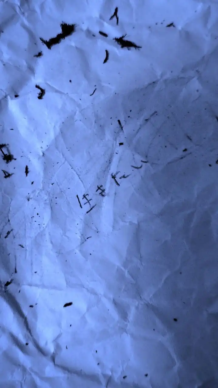 もしもこう生きられたら【スト緩ガチ病みハント】