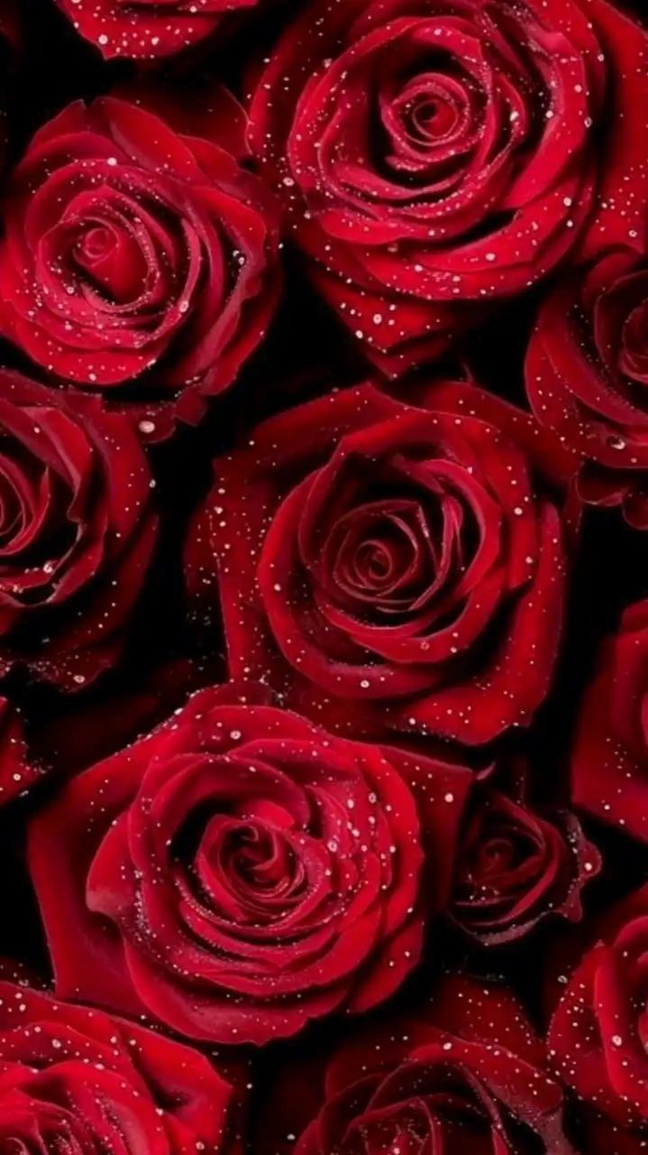 愛沢のお知らせ🪽🫧