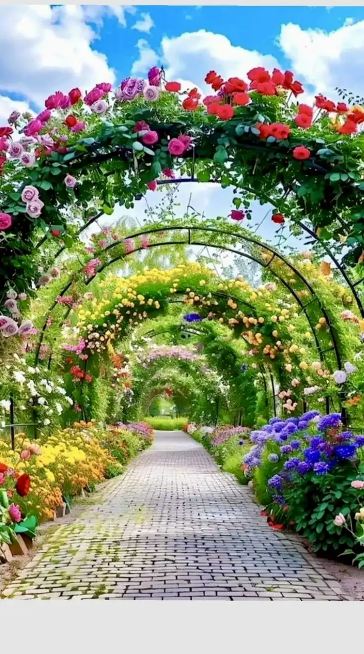 🌈新着🌈新規オープン🍀シニアシングル🍀🌺恋花🌺話そう🌺