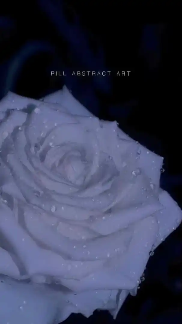 壊れるほど愛して、追い詰めて  ＊ 全也ハント