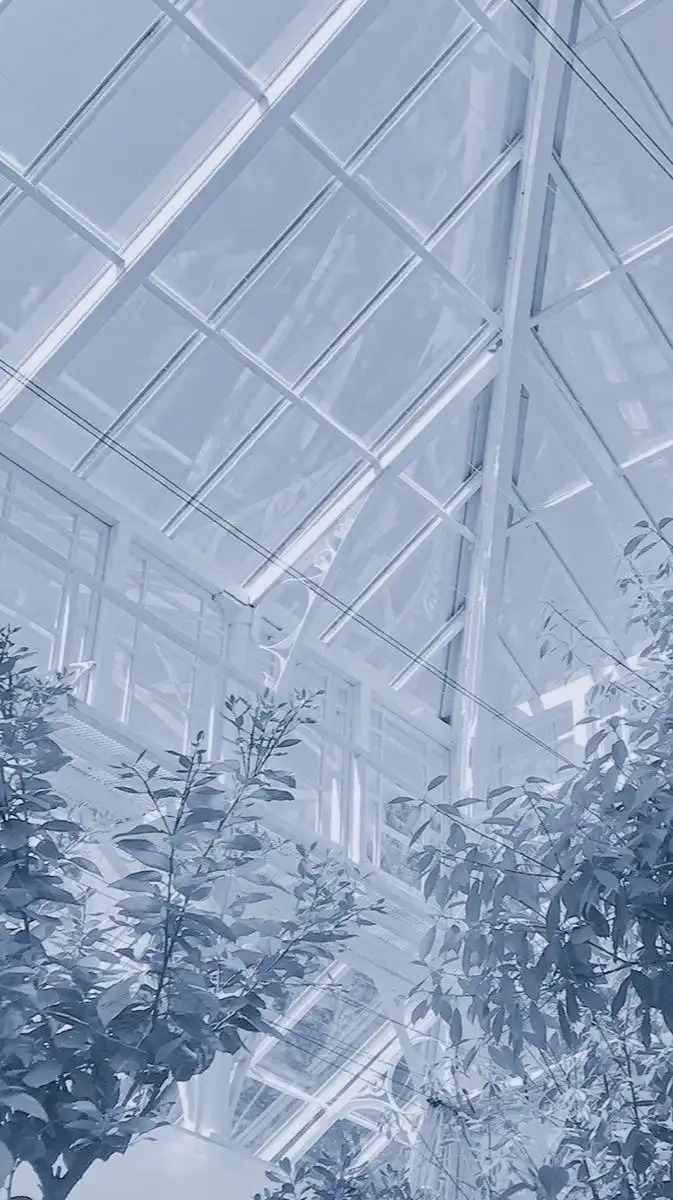 ２４３４激緩也らしい