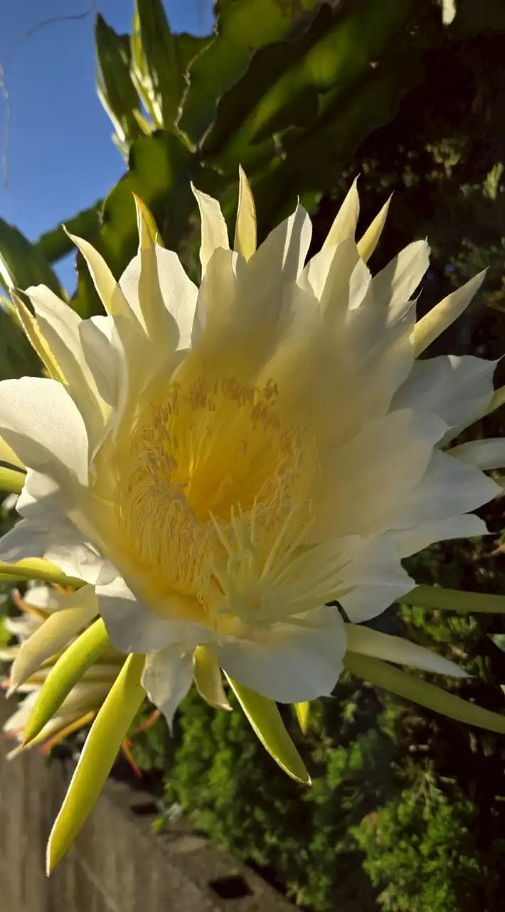 ⛲️🐦 ほのぼの広場　　　 　　🌱 ほっこりしましょう 🌱      🍹 一人暮しの方いらっしゃい