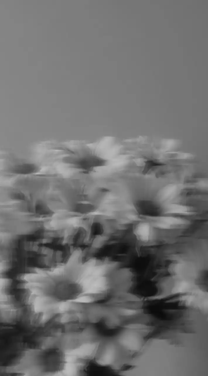 盲目なの♡全緩夢ハント