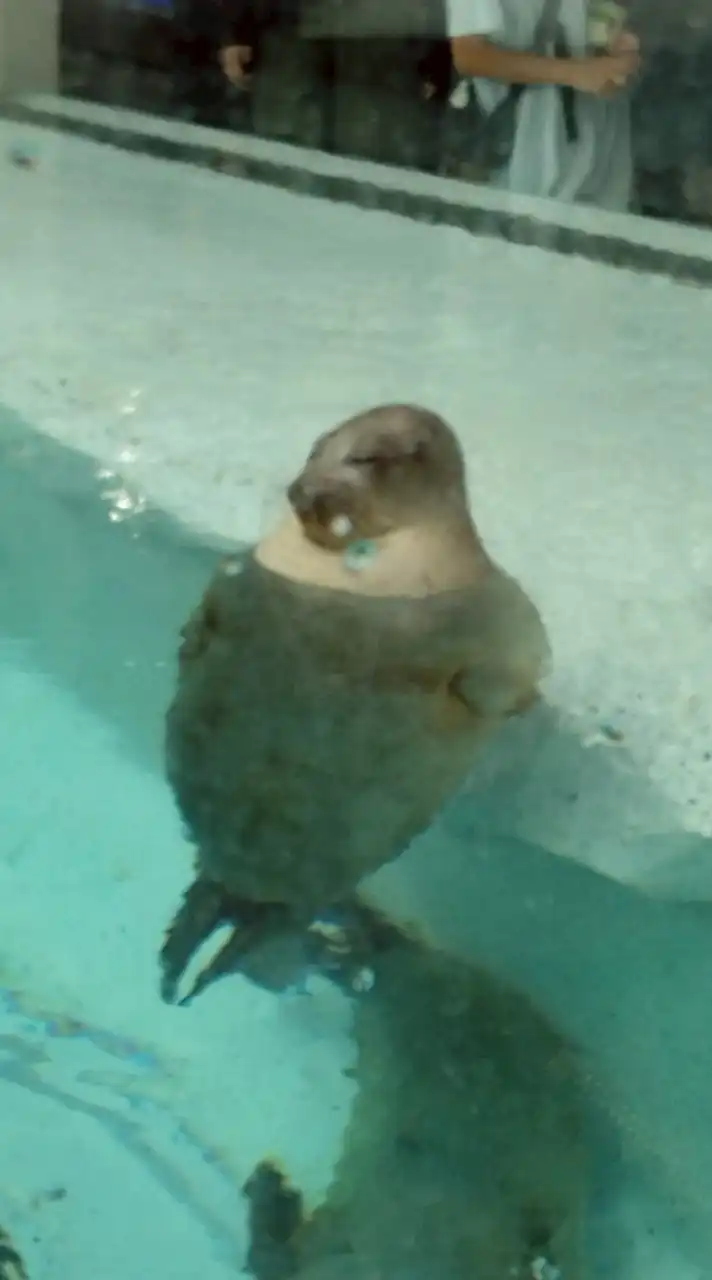 ゲーム雑談するよ〜