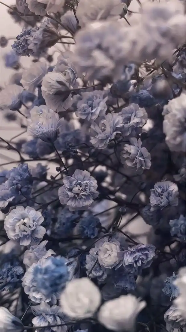 みんなで楽しく歌枠したり雑談したりゲームしたりなんでもしよ〜！！！！