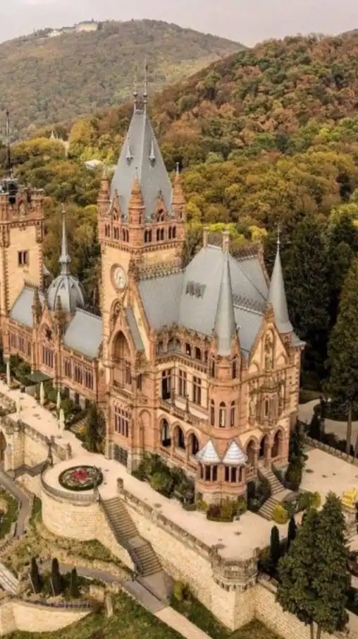 オルディア王国 階級制度 服従