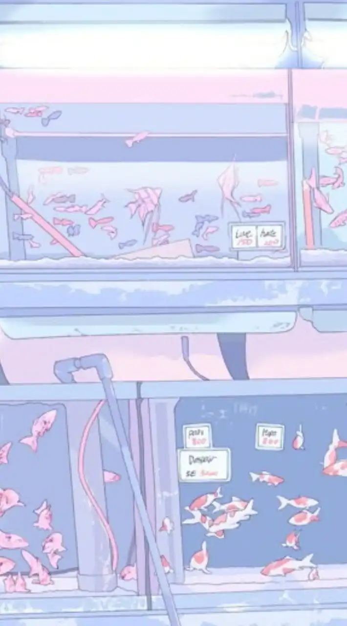 騒ぎまくれ   sxxn   超緩緩也  ‼️‼️