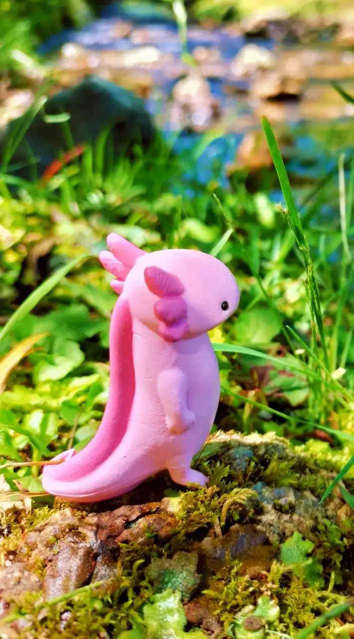 独り言🌻呟き〜ひとりじゃない〜