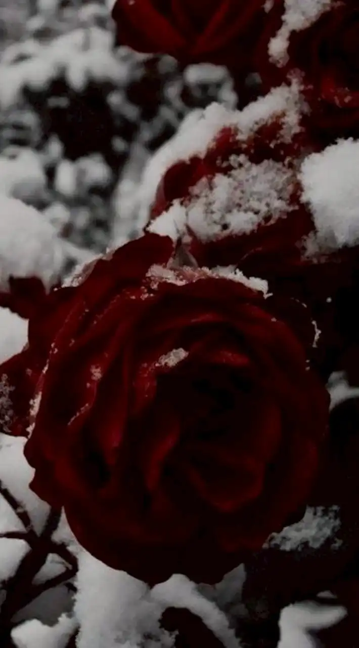 絶対安全ドラッグ ＊戦争屋緩也ハント