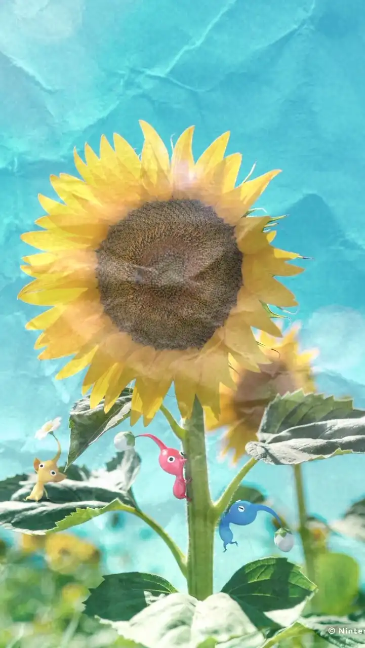 #PikminBloomꔛꕤ*｡ﾟ