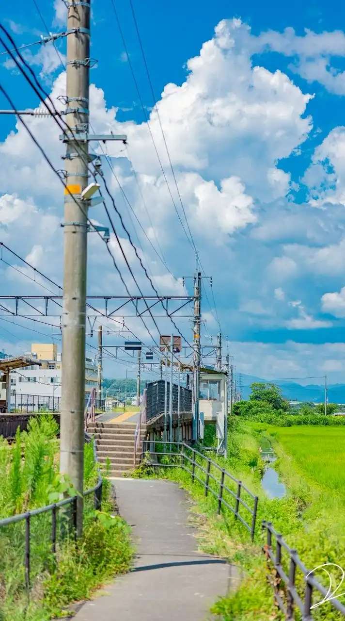 雑談、歌枠、ライトしよかぁー！