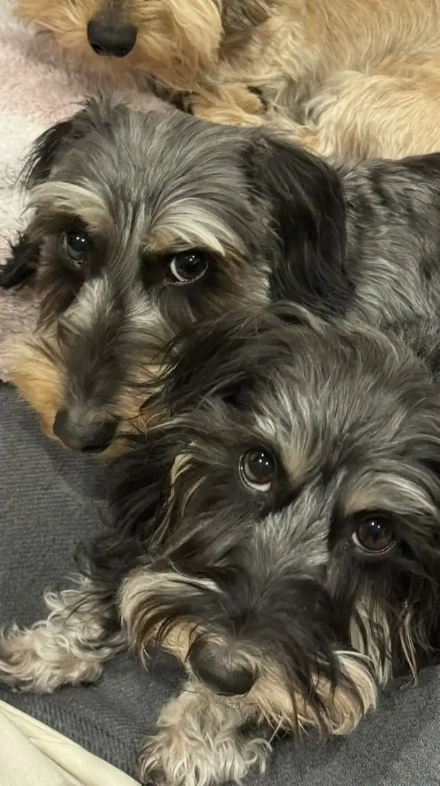 本気の美容師達