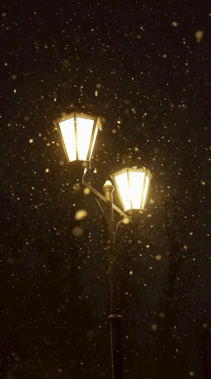 沫雪︰文豪ハント