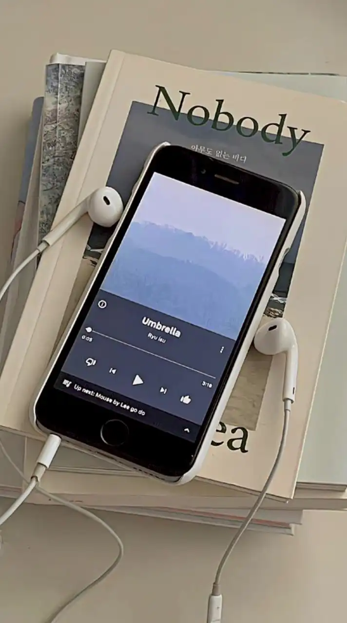 【中学生限定】歌枠用🎤（サブオプ）