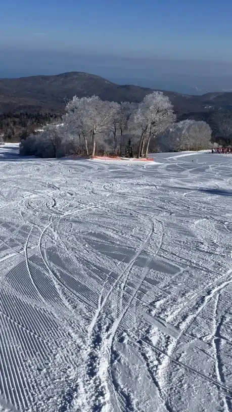 エタニティーキャンプ(白樺国際12/13-14)