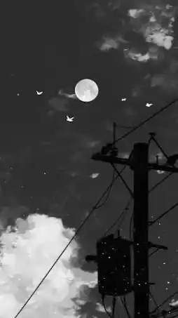 〈学生限定〉彼氏彼女がいない人、！