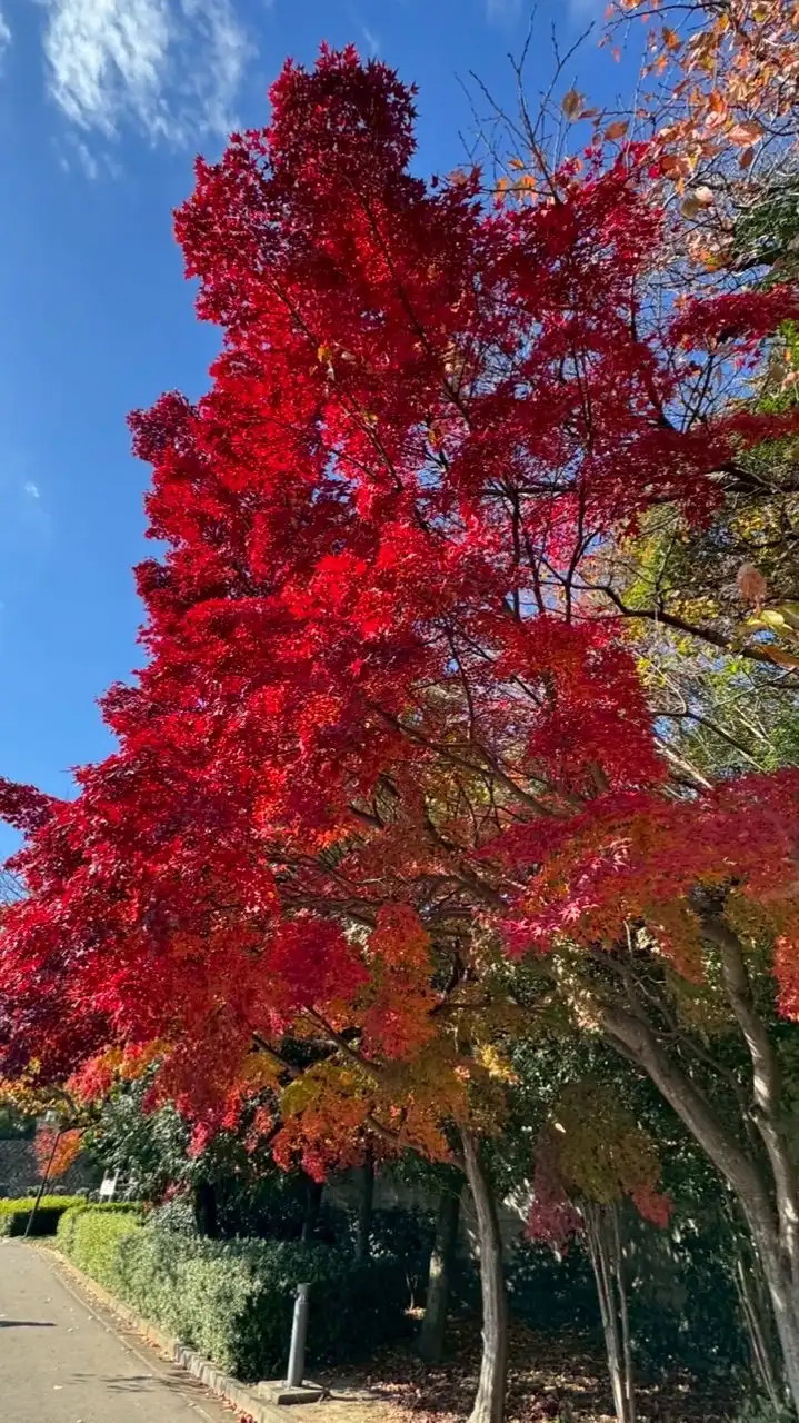 お片付け&潜在意識で豊かさを拡大